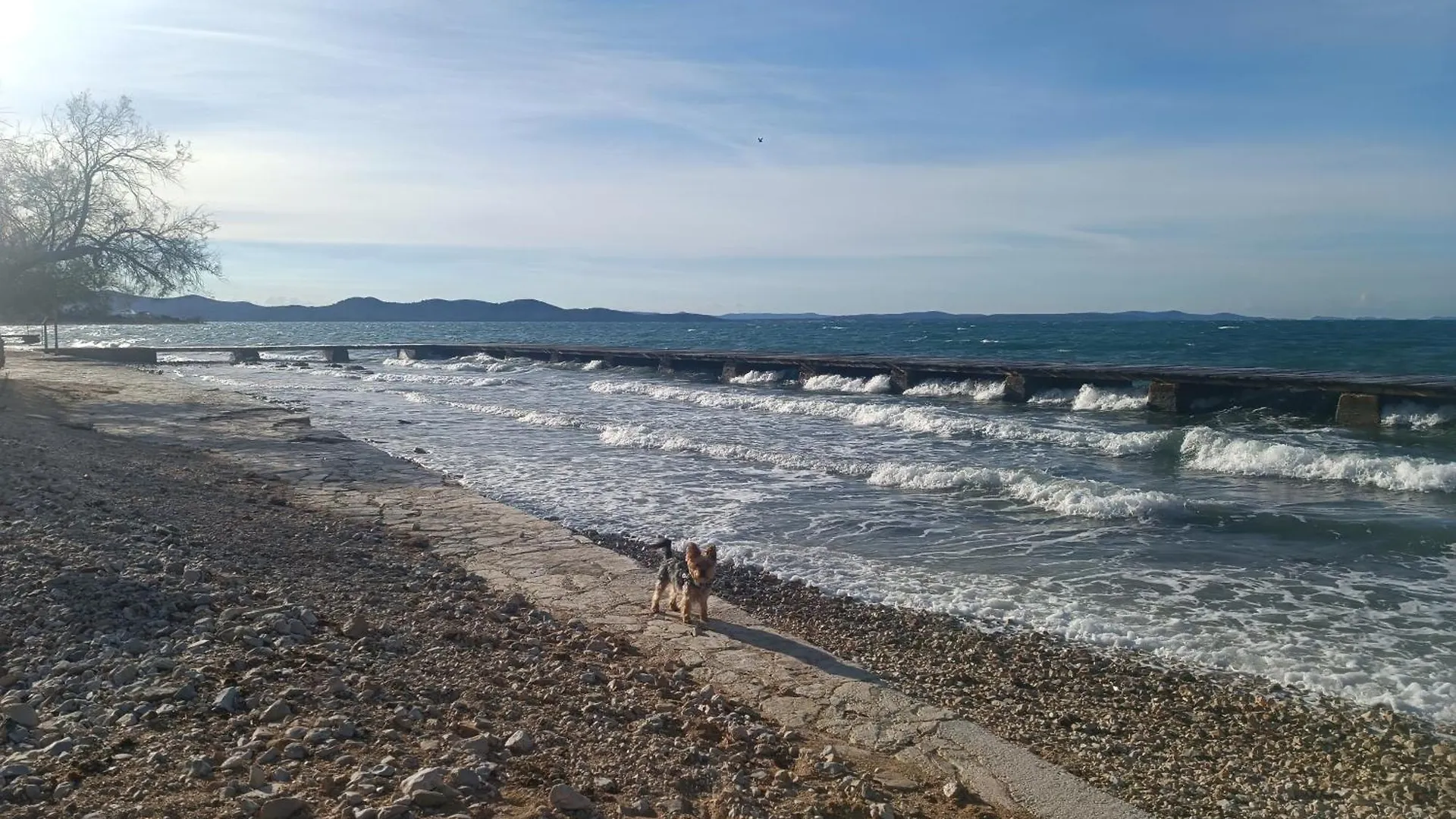 Zadar Beach Apartments